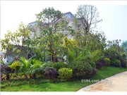 2015年7月工程進(jìn)度