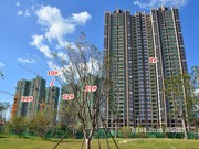 2017年10月11日工程進(jìn)度