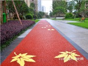 保利香檳國際小區(qū)實景