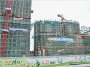 2016年2月工程進(jìn)度