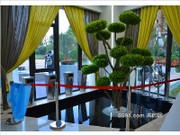 2015年10月工程進(jìn)度