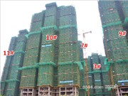 2015年11月19日工程進度