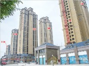 2016年1月工程進度實景圖