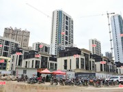 2019年4月3日工程進度