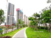 2020年5月28日工程進度