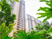 項(xiàng)目實(shí)景圖