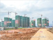 2016年2月工程進度