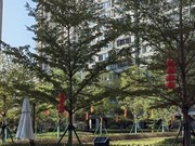 小區(qū)實(shí)景 (6)