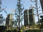 2015年7月工程進(jìn)度