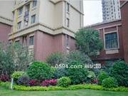 2018年1月工程進(jìn)度