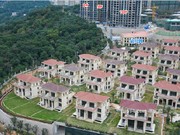 2019年1月工程進(jìn)度