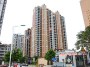 2020年7月8日實(shí)景圖