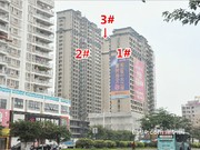 2015年11月工程進(jìn)度實(shí)景圖