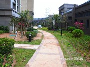 2016年11月9日工程進度