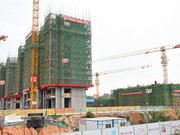 2020年3月11日工程進度（舊版樓棟號）