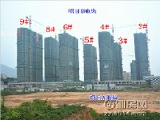 工程進(jìn)度圖