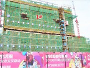 2014年11月27日工程進(jìn)度