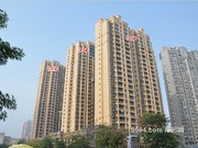 2016年11月工程進(jìn)度圖