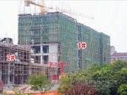 2014年12月11日工程進(jìn)度