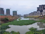 2014年11月29日工程進度