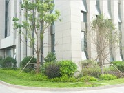 2018年7月工程進(jìn)度