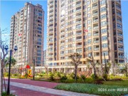 2017年11月工程進(jìn)度