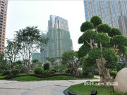 2015年9月小區(qū)環(huán)境