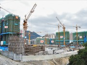 2019年1月工程進度