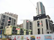 2019年4月3日工程進度