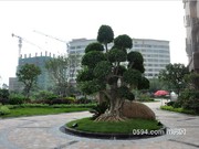 2015年9月小區(qū)環(huán)境