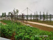 濱溪公園實(shí)景