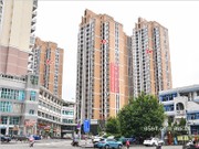 2019年6月實(shí)景