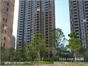 2015年8月工程進度