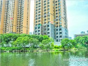 2017年5月工程進(jìn)度圖