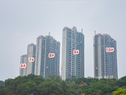 2019年3月工程進(jìn)度