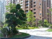 2015年6月工程進度