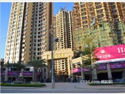 11月30日工程進(jìn)度