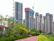 2020年5月28日工程進度