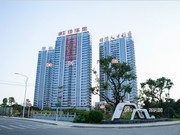 2019年11月工程進(jìn)度