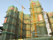 2015年12月工程進(jìn)度圖