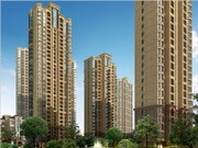 項(xiàng)目效果圖