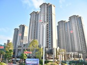 2019年12月25日工程進(jìn)度