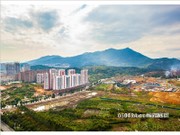 2016年1月工程進(jìn)度圖