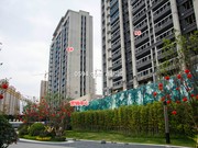 2019年1月17日工程進(jìn)度