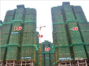 2015年11月19日工程進度