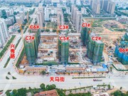 2020年5月工程進(jìn)度圖