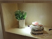 54㎡單身公寓樣板房