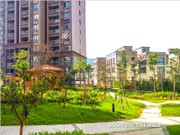 2017年7月工程進度