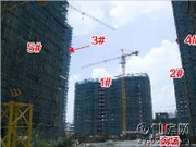 工程進(jìn)度圖