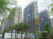 2019年5月工程進(jìn)度